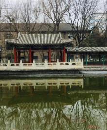 团结湖公园22