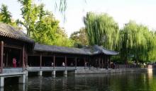 团结湖公园8