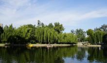 团结湖公园4