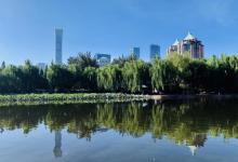 团结湖公园21