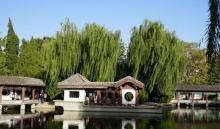 团结湖公园5