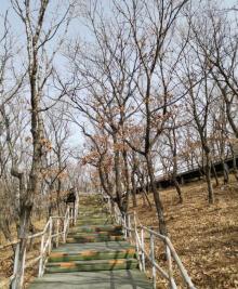 百瑞谷景区15