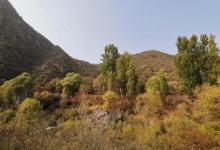 百里山水画廊―乌龙峡谷19