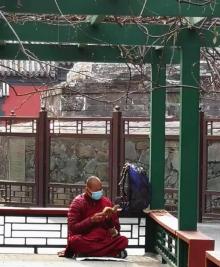 灵光寺8