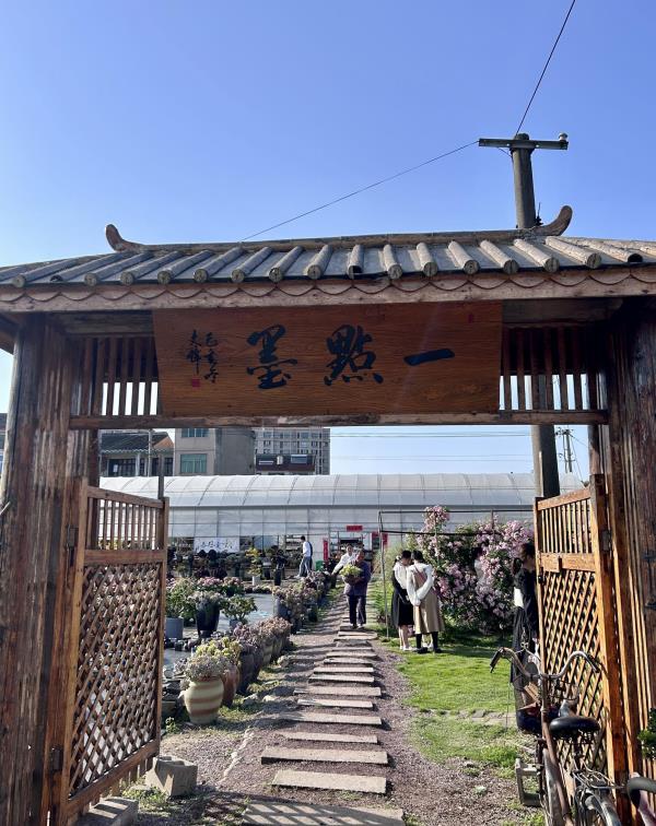 一点墨多肉花园