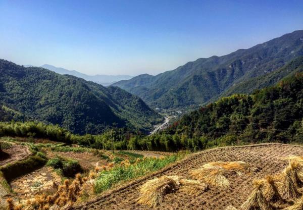 大岭山村