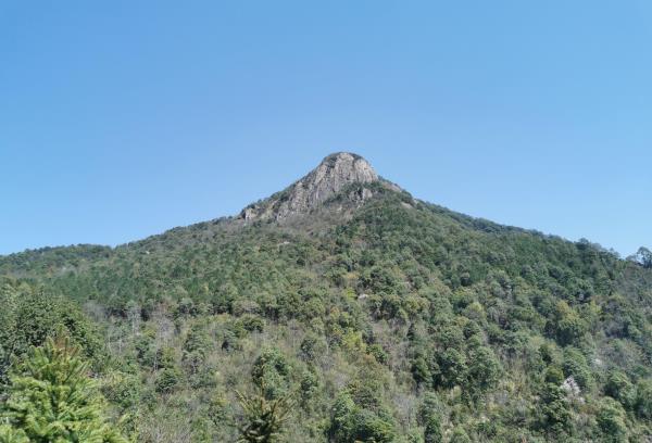 短柱山