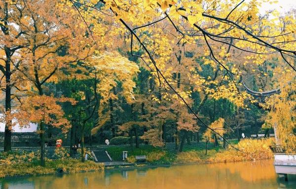 黄岩县九峰桃花潭中心纪念林