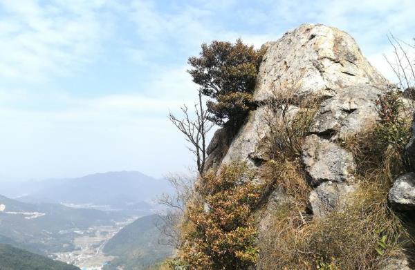 临海云峰森林公园