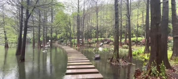 中央山公园(东南一门店)