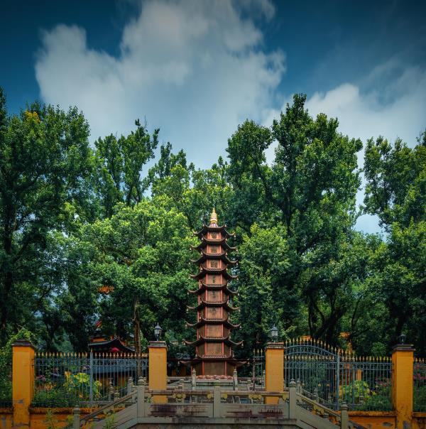 温岭江厦森林公园