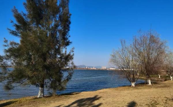 漩门湾国家湿地公园-低碳艺术公园