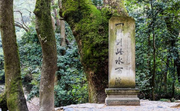 一行到此水西流