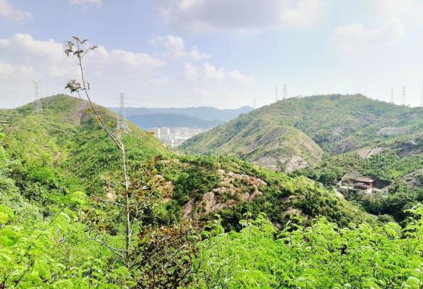 丫髻山