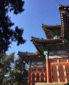 团城25