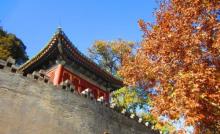 团城17