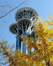 国家体育馆20