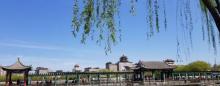 莲花池公园6