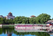 莲花池公园3