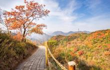 八达岭国家森林公园4