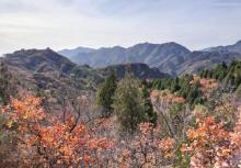 八达岭国家森林公园15