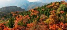 八达岭国家森林公园26