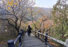 八达岭国家森林公园18