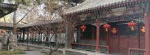 怡红院3