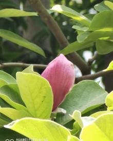 炎黄艺术馆19