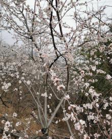 北京后花园（白虎涧）风景区5