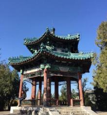 东单公园18