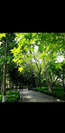 东单公园19