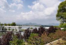 青龙湖公园13
