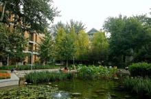 北京外国语大学16