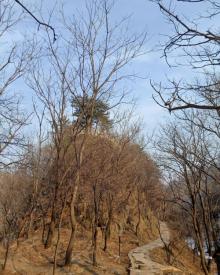 玉渡山景区11