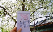 智化寺13