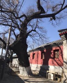 万寿寺14
