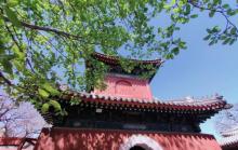 万寿寺6