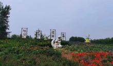 北京国际鲜花港7