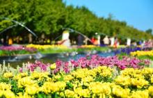 北京国际鲜花港30