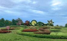 北京国际鲜花港23