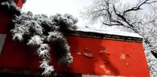 戒台寺16
