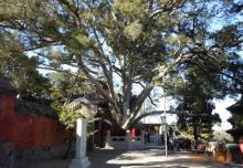 戒台寺7