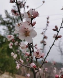 双龙峡25