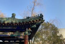 月坛公园25