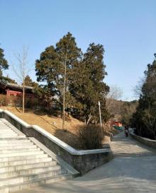 法海寺26