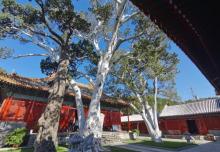 法海寺11