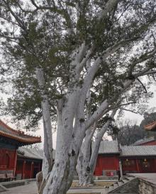 法海寺9