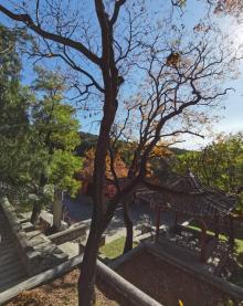 法海寺13