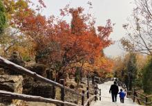 丫髻山29